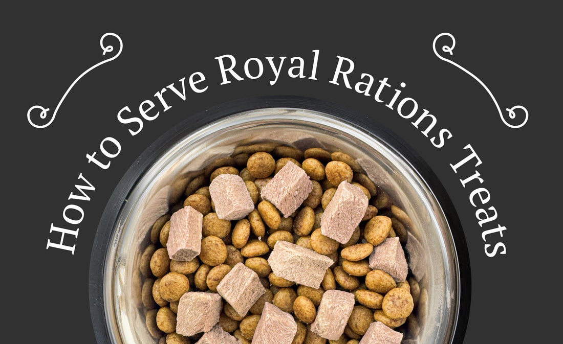 How to Give Dog Treats the Right Way