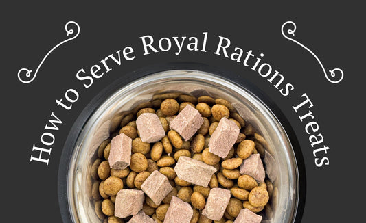 How to Give Dog Treats the Right Way